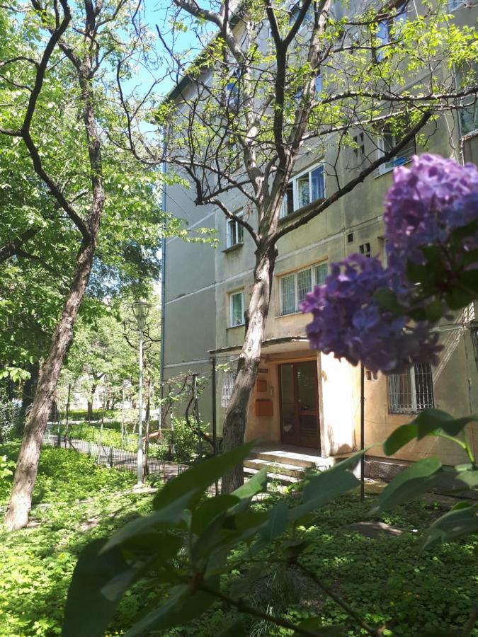 Central Place Apartment Тимишоара Экстерьер фото
