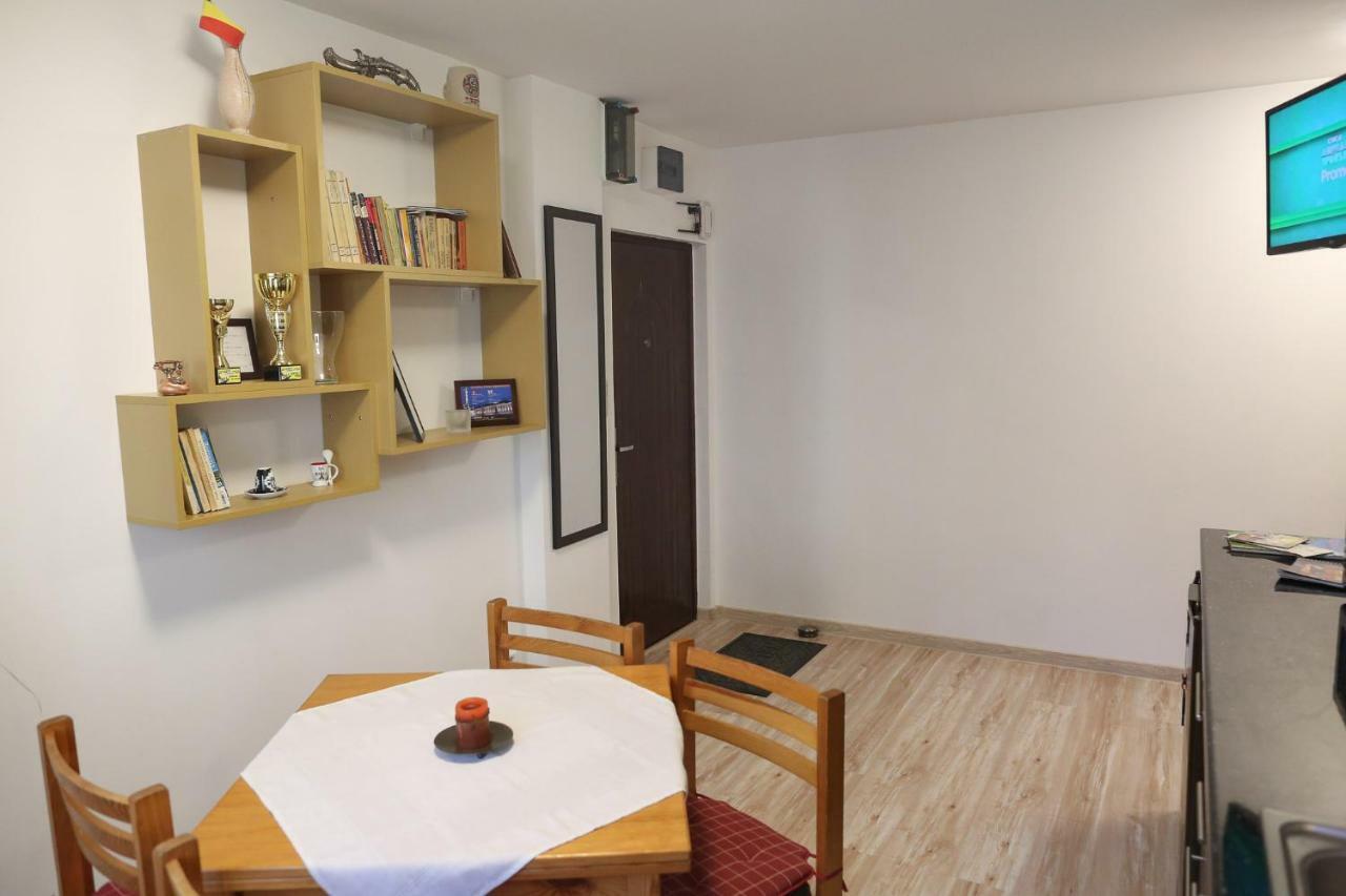 Central Place Apartment Тимишоара Экстерьер фото